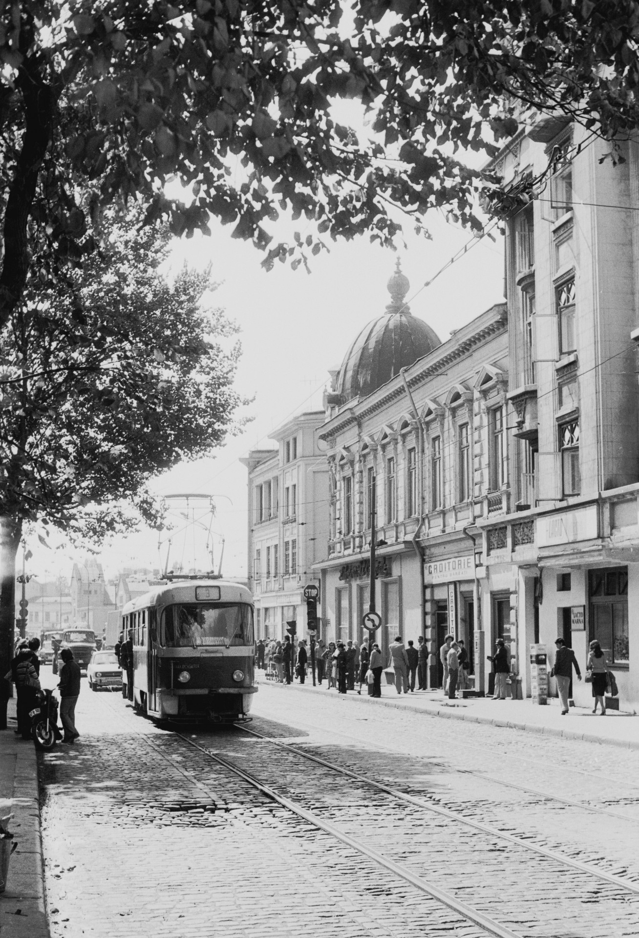 © Serban Lacriteanu